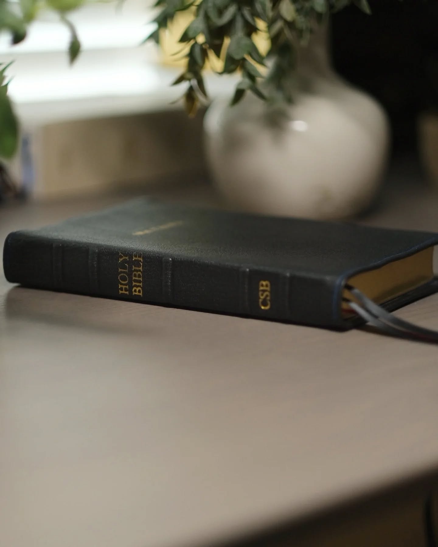 Black Alran Sully CSB thumbnail 3