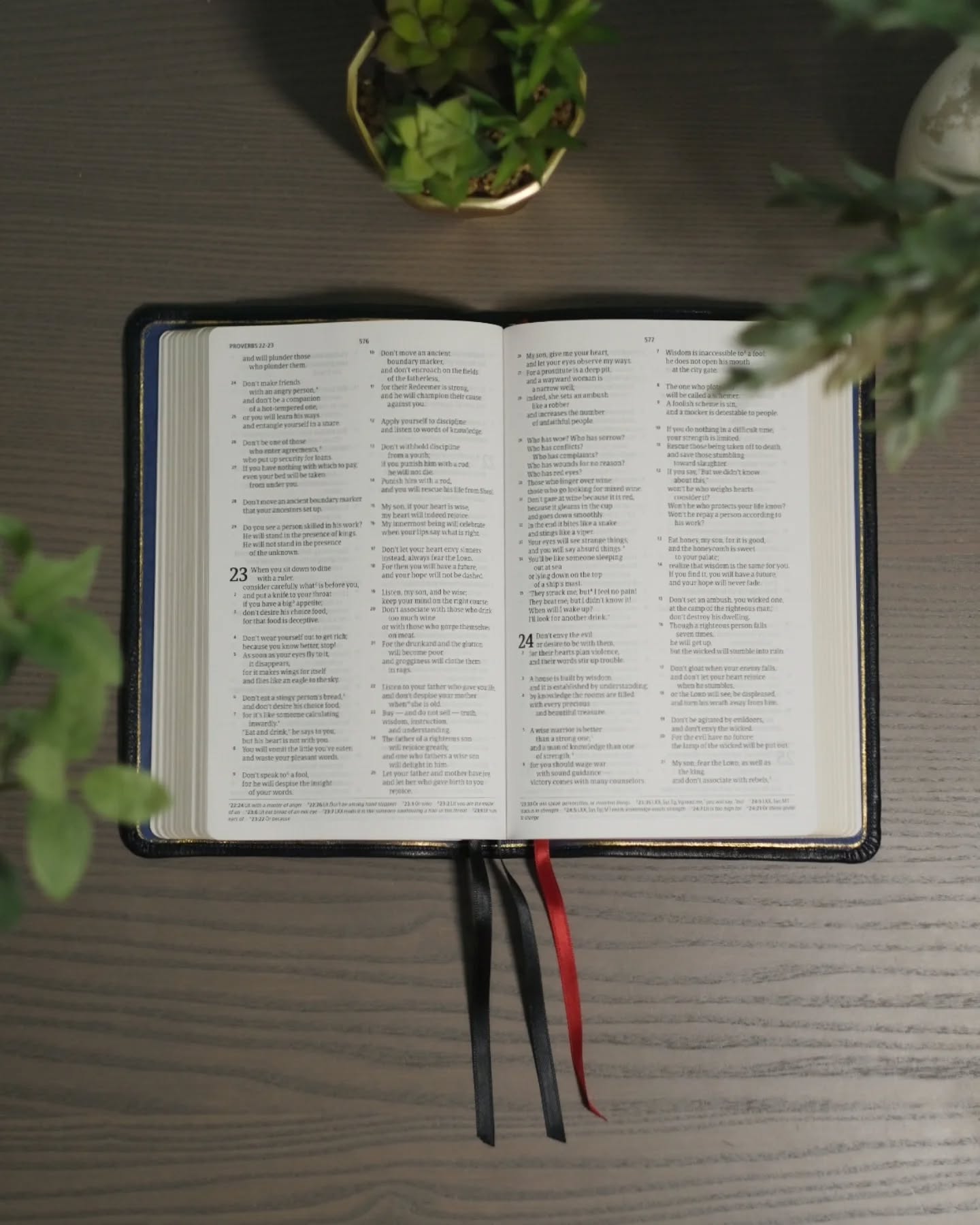 Black Alran Sully CSB thumbnail 4