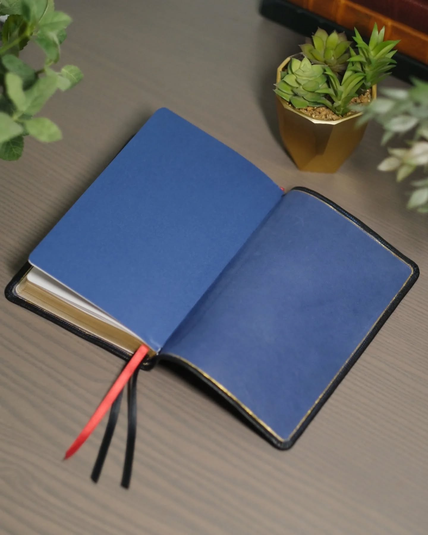 Black Alran Sully CSB thumbnail 5