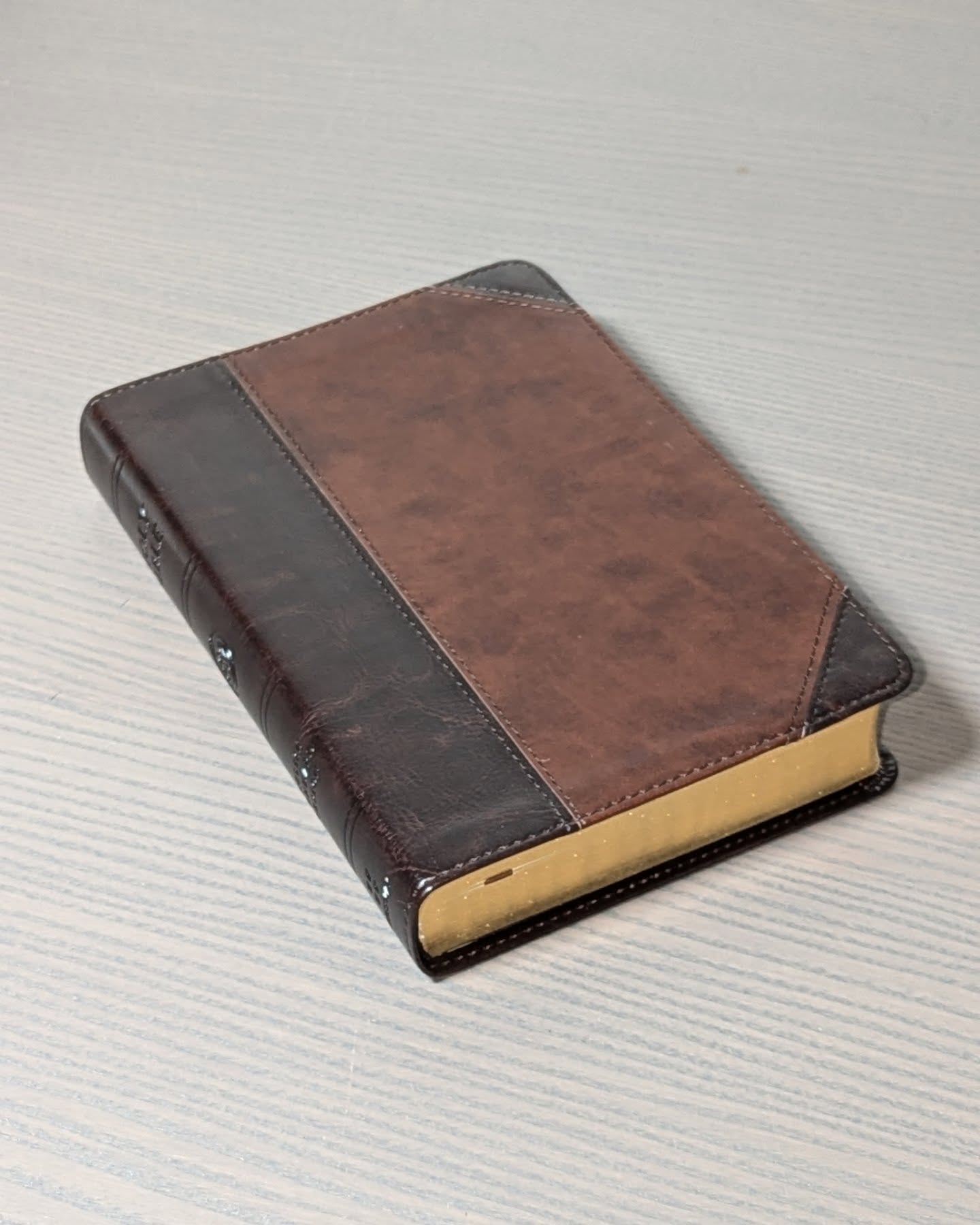 Red Wine Goatskin ESV thumbnail 10