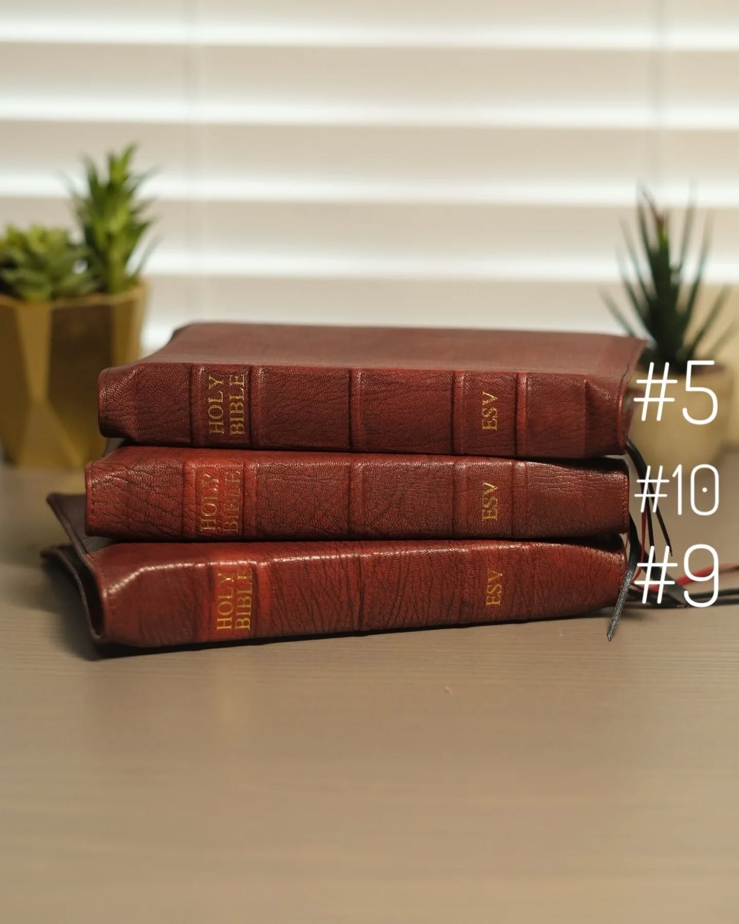 Red Wine Goatskin ESV thumbnail 2