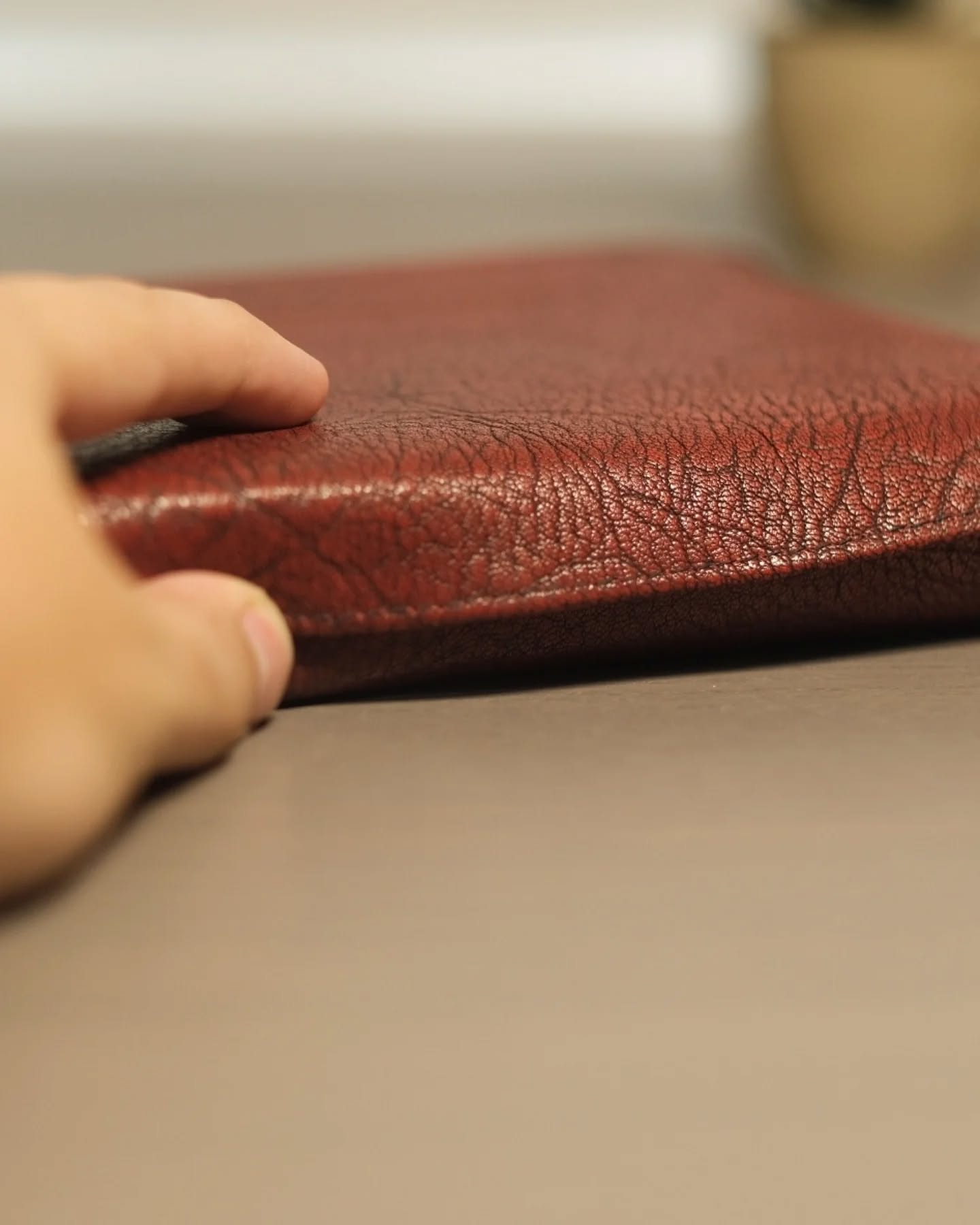 Red Wine Goatskin ESV thumbnail 7